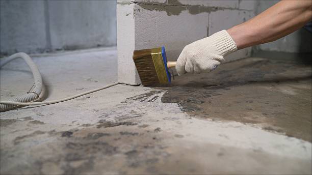 SJ Waterproofing Pros Waterproofing coverage map for Plymouth, MI and surrounding area